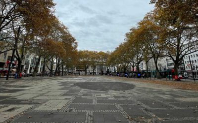 Städtische Struktur zur Entwicklung des Neumarkts