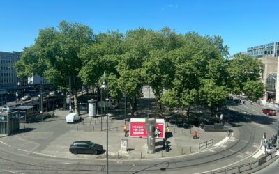 Politik räumt Verwahrlosung am Neumarkt ein – wie geht es nun weiter?
